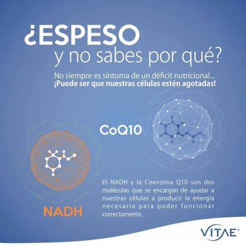 12003285_10153663483219181_6662291070475842474_n